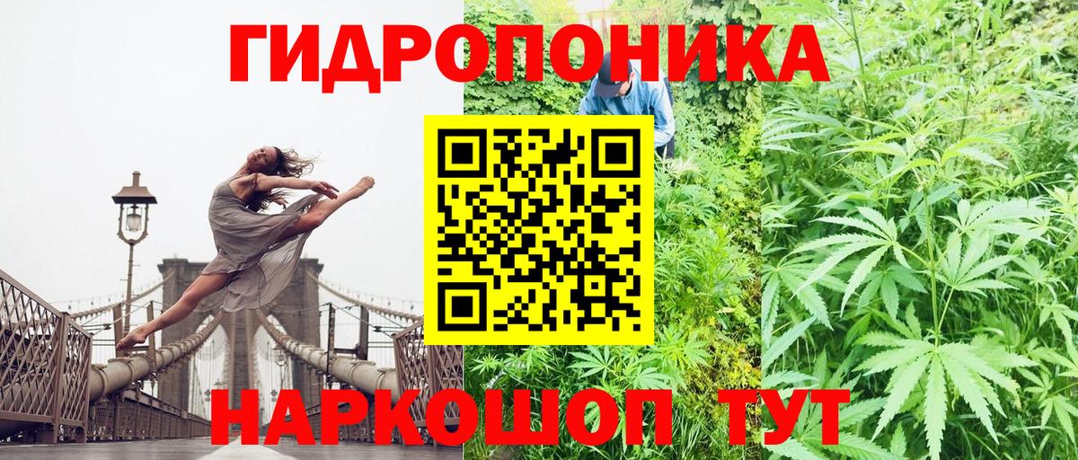 Каннабис индика  Бошки Шишки планчик  Арсеньев  Вход с VPN  Конопля планчик 